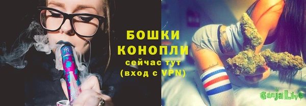 мяу мяу мука Гусиноозёрск