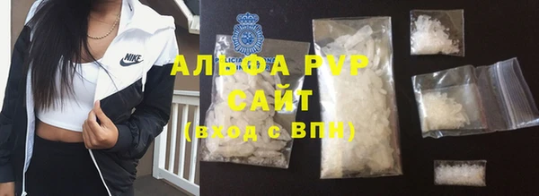 индика Сясьстрой