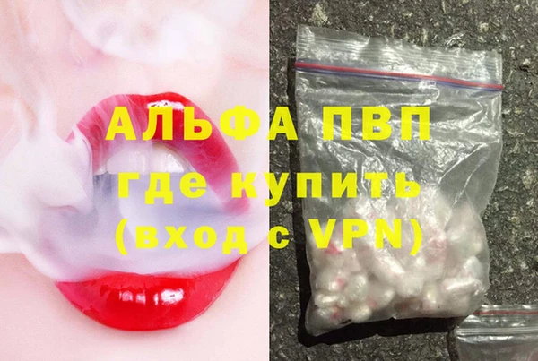 индика Сясьстрой