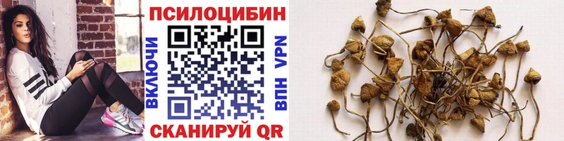 Псилоцибиновые грибы Psilocybine cubensis  МЕГА ТОР  Мостовской  даркнет сайт 